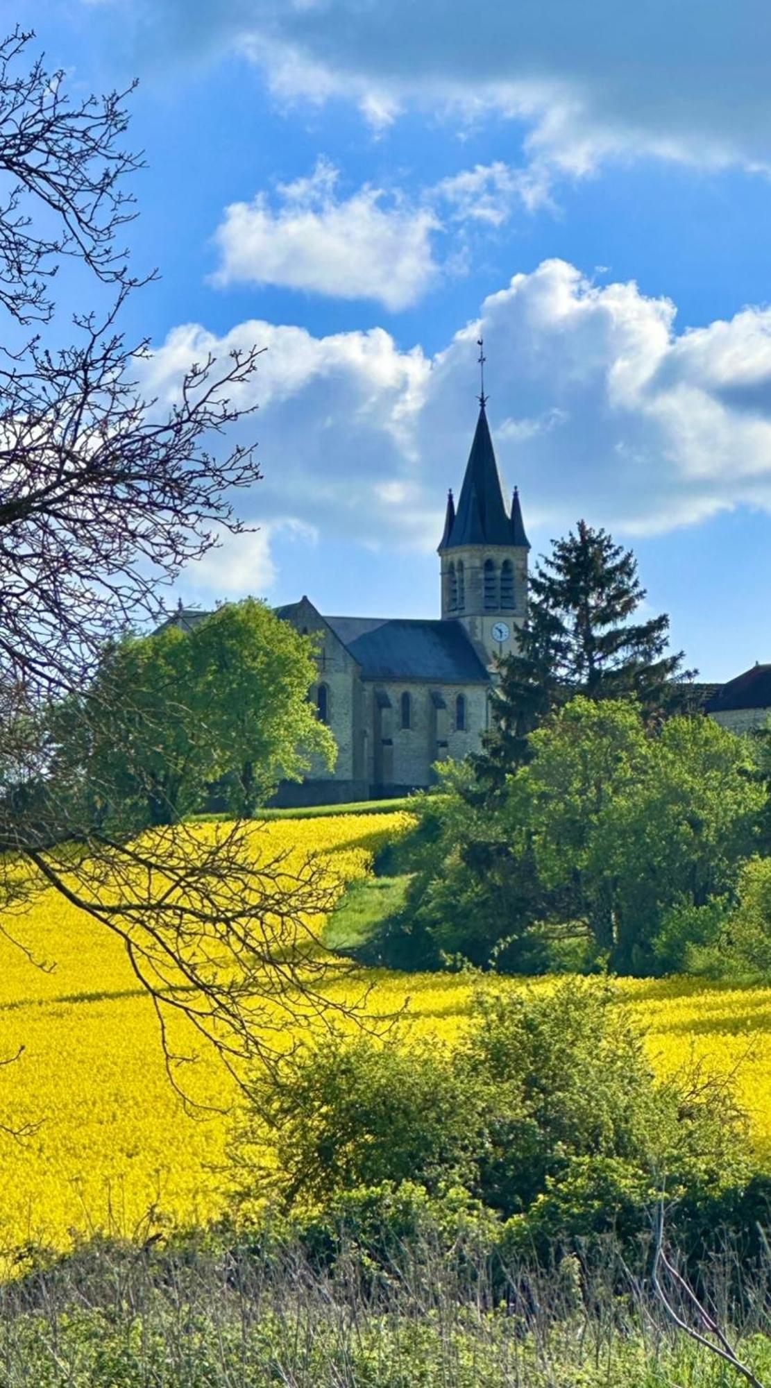 La Cour Des Delices Bed and Breakfast Gigny  Exteriör bild